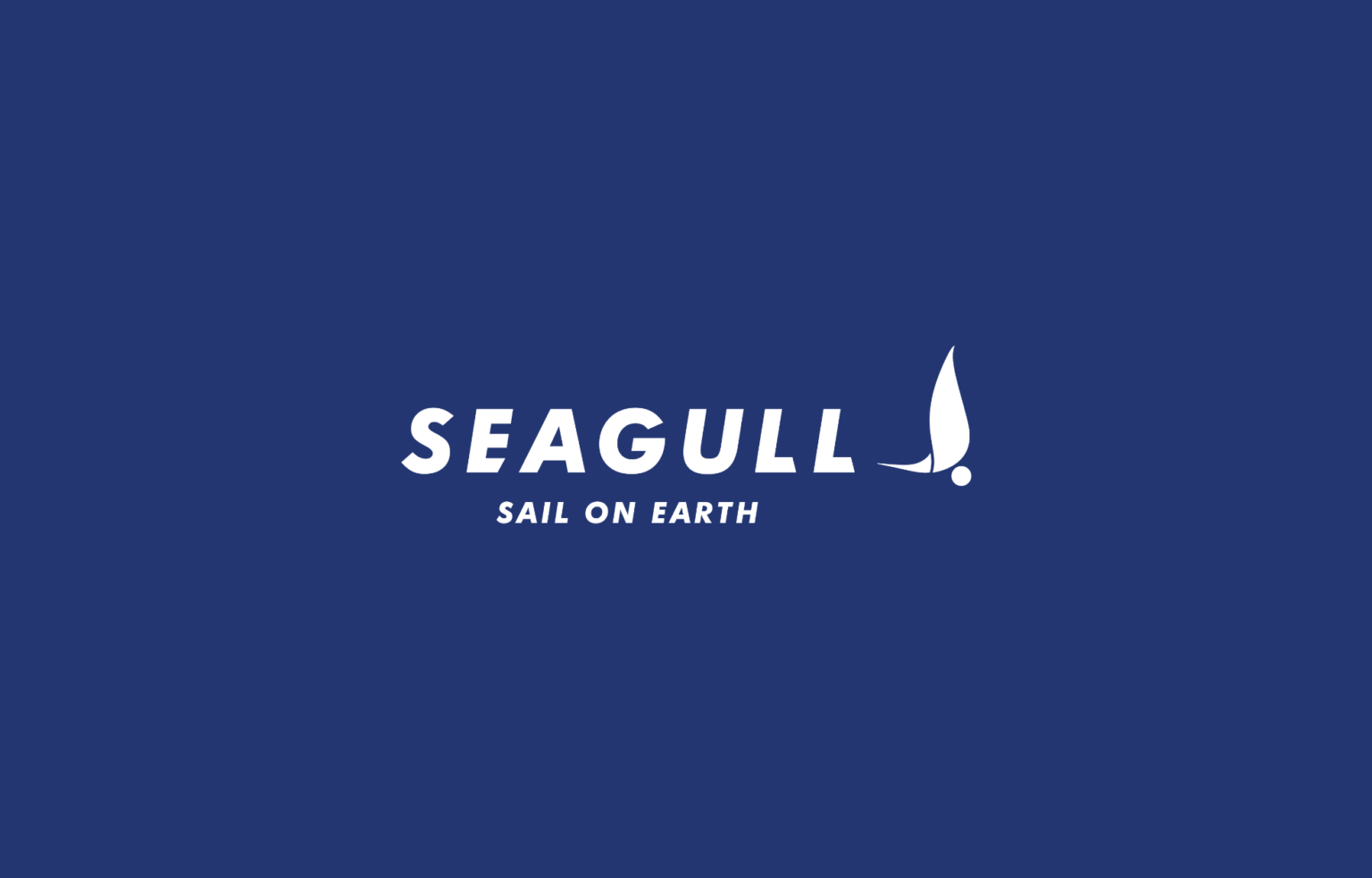 Mon expérience chez seagull char à voile